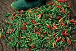 Burlap;-Cayenne-peppers;-Comoros-Archipelago;-Cucumber;-France;-Indian-Ocean;-Kaleidos;-Kaleidos-images;-La-parole-à-limage;-Laurent-Abad;-Mayotte;-Peppers;-Stories-Pictures;-Vegetables
